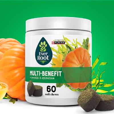 Everroot FREE EverRoot Multi-Benefit Dog Supplement Soft Chews - Freebies and ...