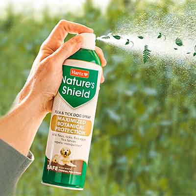 Nature S Shield Flea And Tick Spray