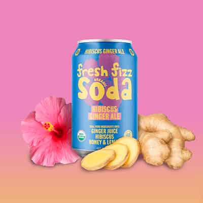 FREE Fresh Fizz Can at D’Agostino - Freebies and Free Samples by Mail
